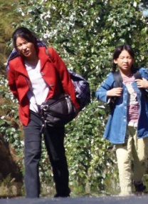 爱情链